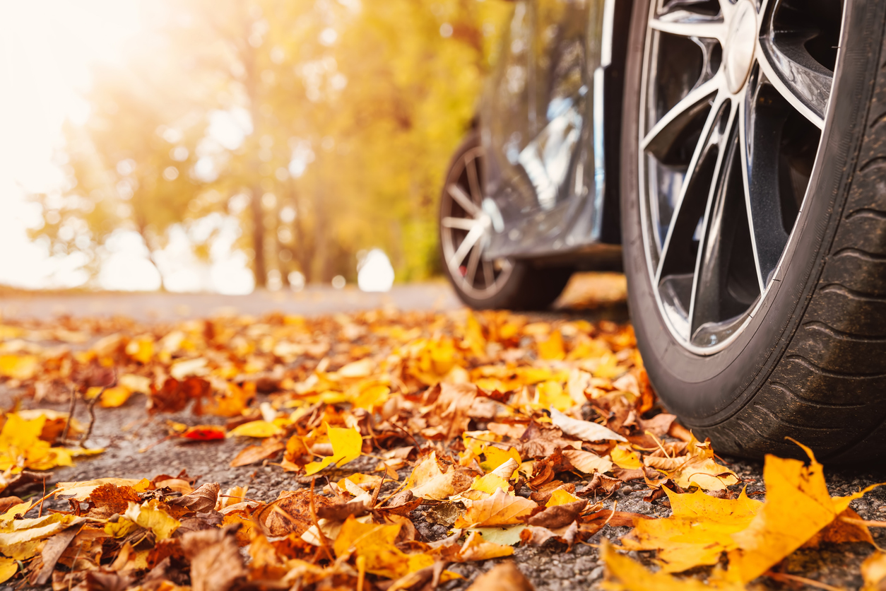 Car on asphalt road on autumnr day at park
